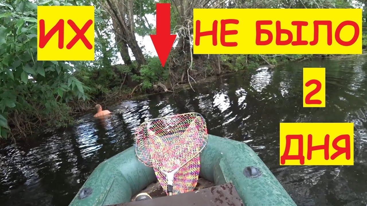 Как мы уток искали... / Прогулка по реке / Поиски на реке / Семья в деревне