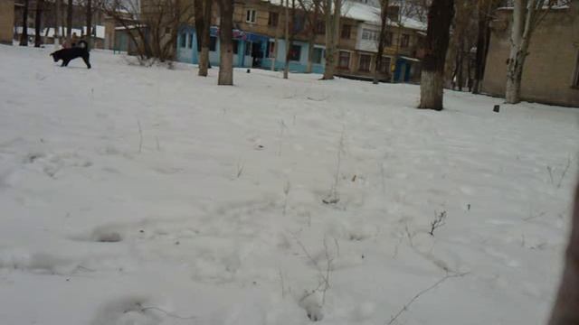 игра в снежки 1