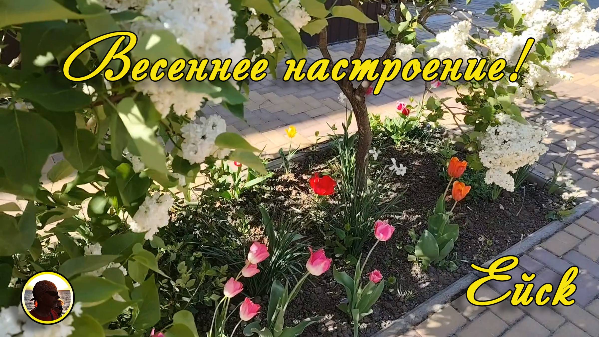 ЕЙСК-2025. 27 апреля. Весеннее настроение!