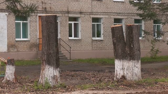 Поликлиника в Свободном