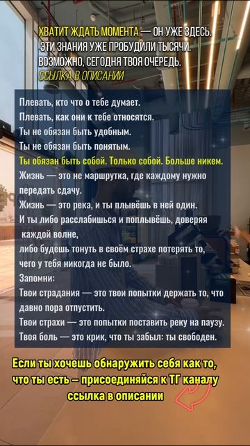 Плевать, как они к тебе относятся