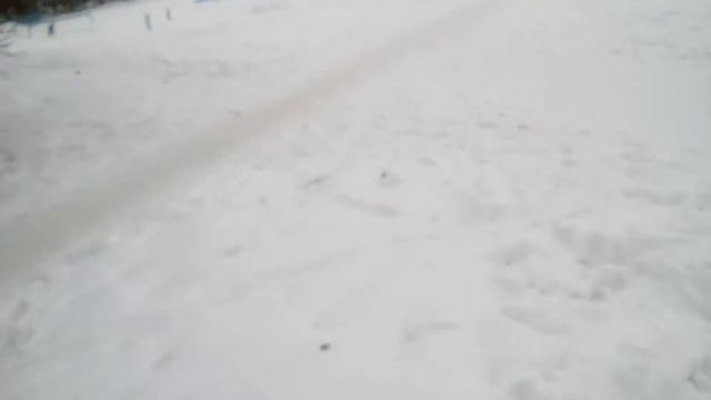 Соревнования снеговиков по физре