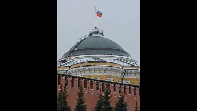 1000158341.mp4