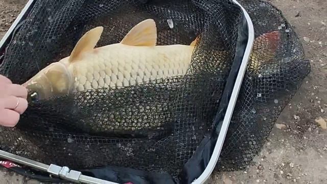 1000028709.mp4