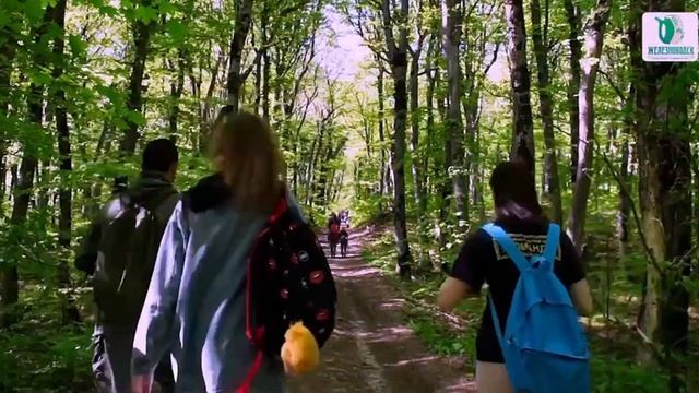 В Железноводске состоится ежегодное восхождение на Бештау в честь Великой Победы.