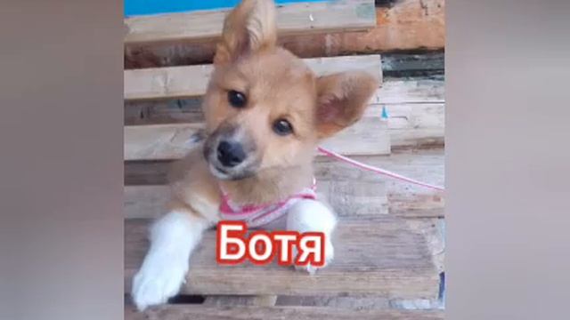 Тут все по фактам 😌