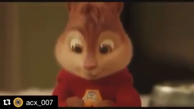 ❤Бурундуки❤