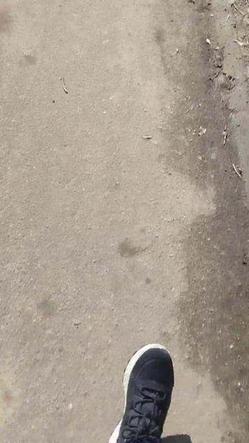 Наконец растаял снег!!!😎😎😎😎😎😎