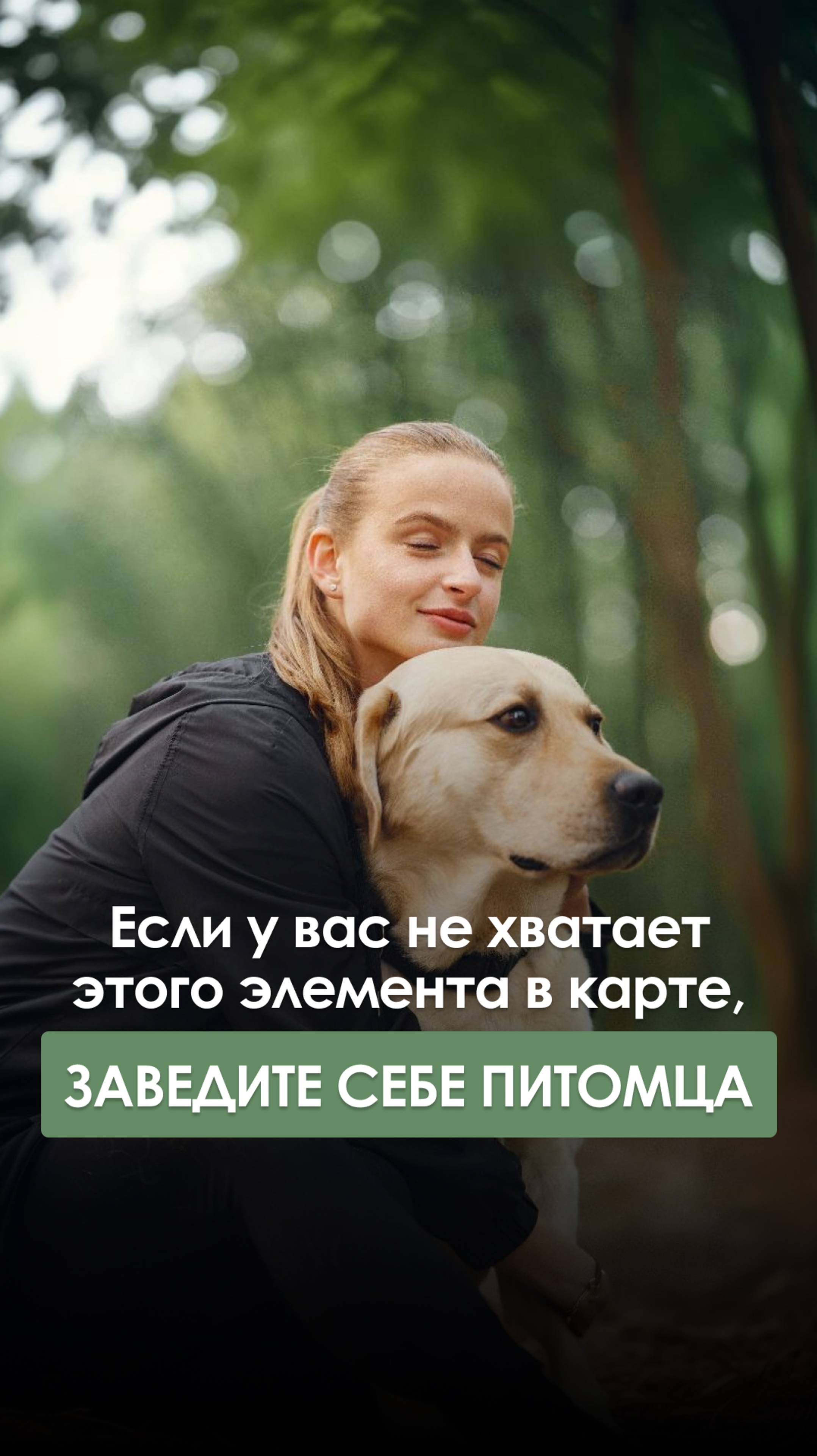 Если у вас не хватает этого элемента в карте, заведите себе питомца