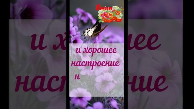 Поздравляю с днем трудящихся.