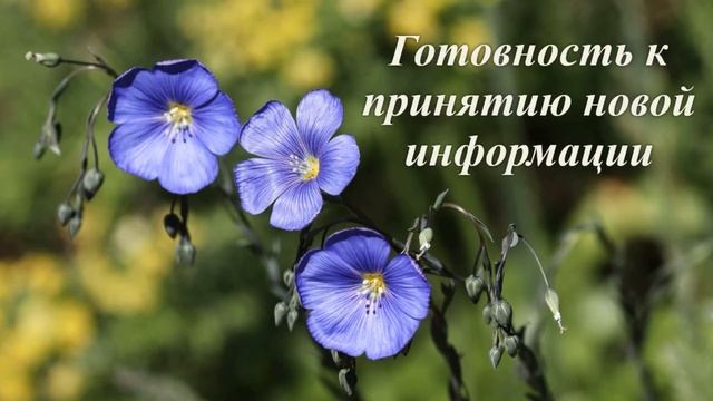 Готовность к принятию новой информации