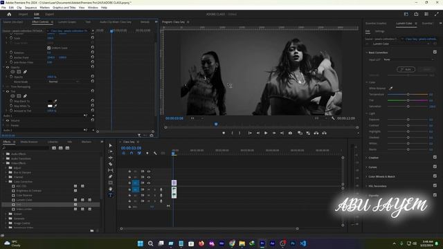 Tint Video Effect- Adobe premiere pro [Bangla]