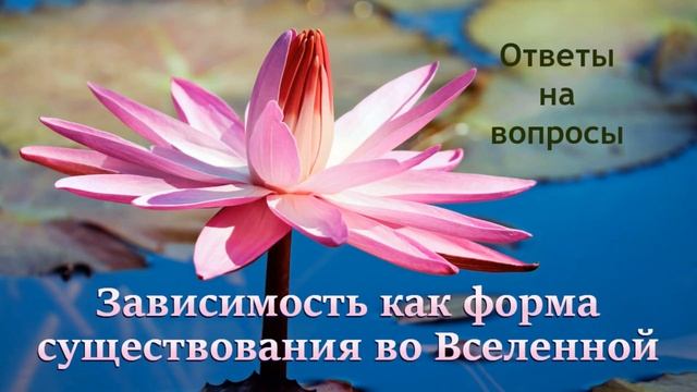Зависимость как форма существования во Вселенной
