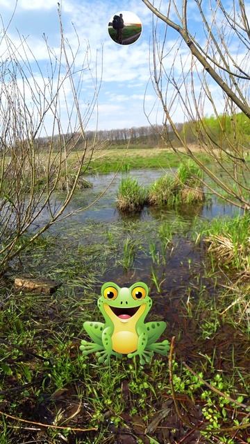 Лягушачий концерт 🐸🎵❤️ Апрель