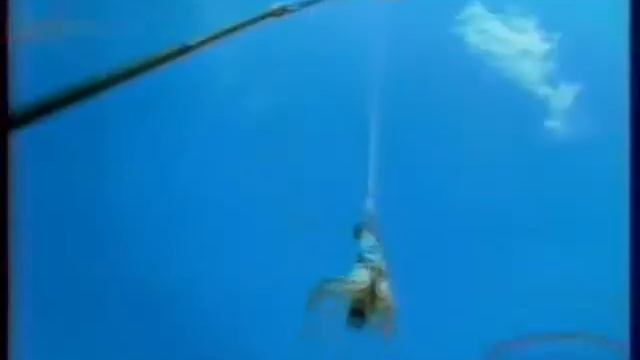 Реклама и анонсы (REN-TV,  05.12.2001). 6