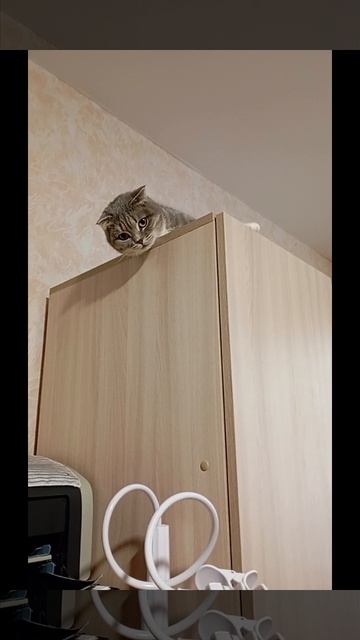 За кадром консультации постоянно
