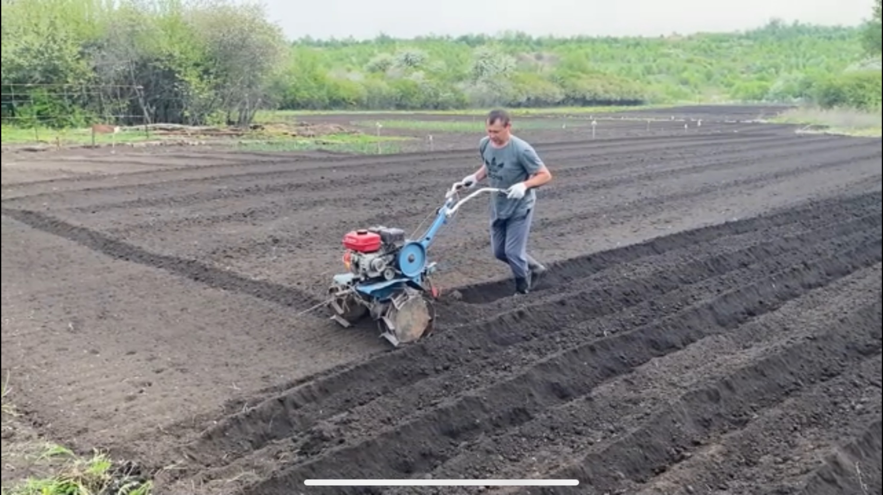 СЕЗОН 2025года🧤ПОСАДКА 🥔КАРТОФЕЛЯ 🚜МОТОБЛОКОМ НЕВА2 мб.