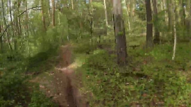 Hard Enduro Murom 2024 Бронза