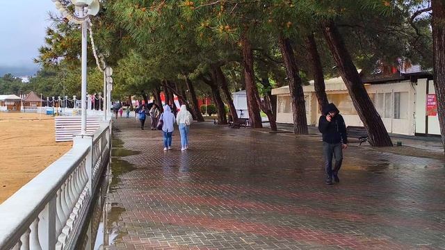 Дождливый Геленджик — атмосфера, которую вы полюбите! Набережная, сосны и уютные кафе ☕
