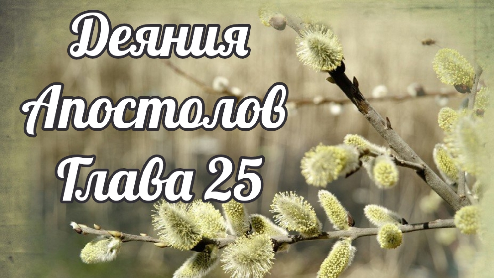 Деяния Апостолов глава 25