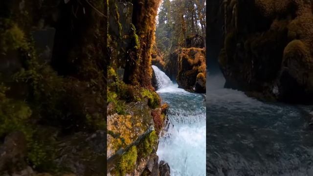 Красота