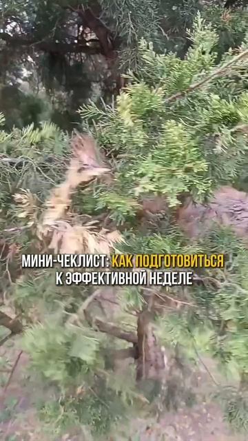 Мини-чеклист: как подготовиться к эффективной неделе