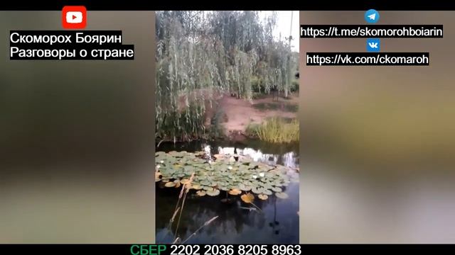 Заметки на коленке, часть 1
