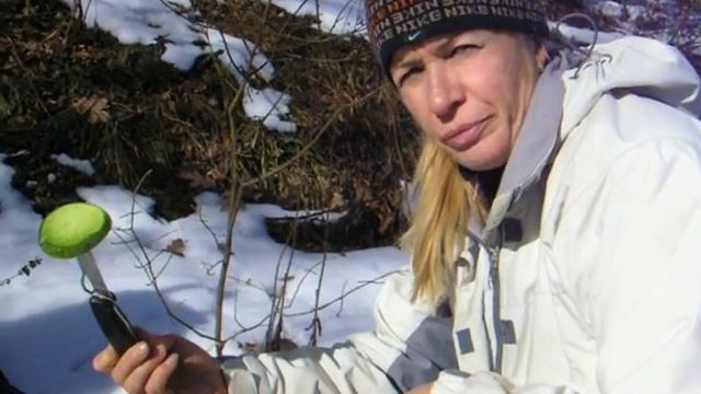 Перекус на прогулке вокруг Бештау.avi
