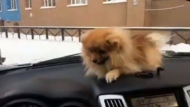 3 февраля 2017 г.