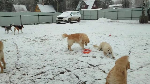 16 апреля 2022 г.