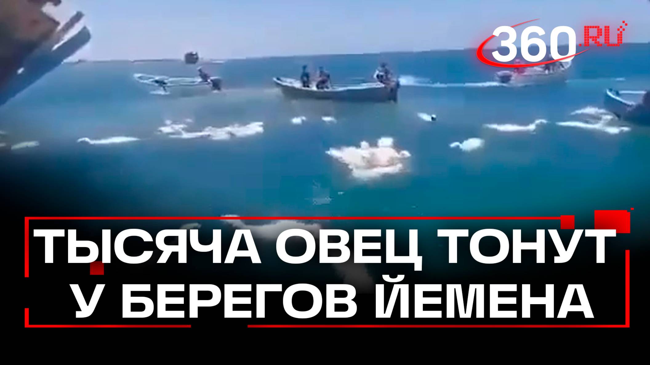 Корабль с тысячами овец перевернулся у берегов Йемена