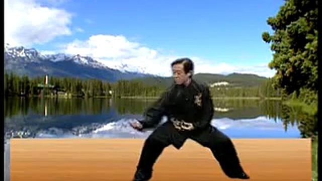 Чэнь Чжанлей Син Цзя 3 часть // Chen Zhenglei Sin Jia 3 Part