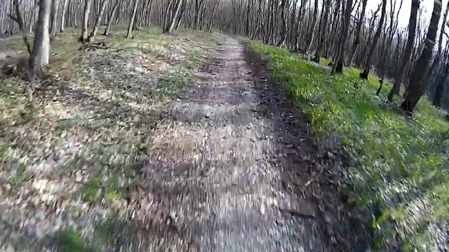 Весна скоростна