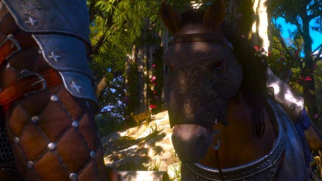The Witcher 3 О чем говорят лошади 1