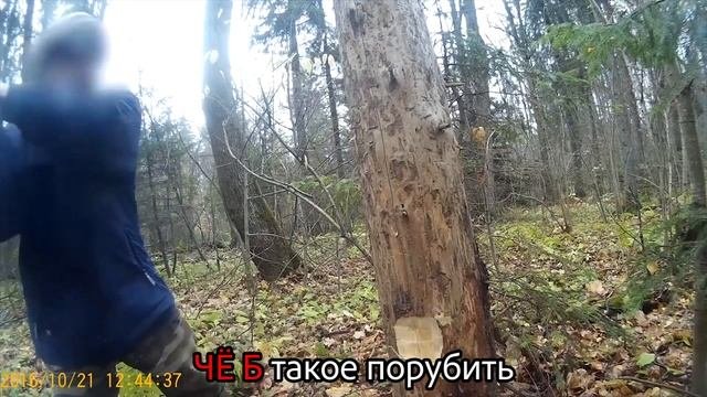 Chop. Английский язык. Учим английские слова методом ассоциаций. Выпуск 78