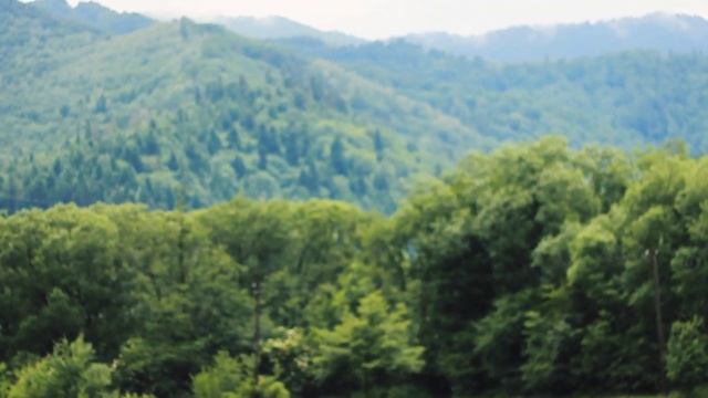 Сколе 2017. Ляпис Трубецкой- Я Верю.(mini travel video)