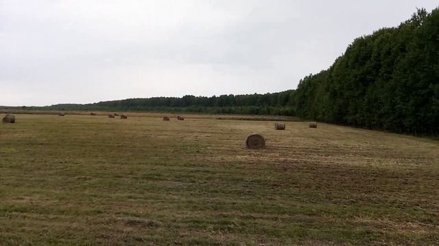 Не верьте прогнозу!!!