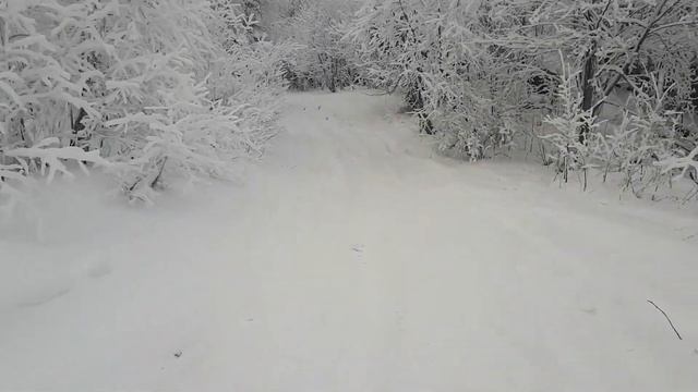 20201226 ворота на Шунут