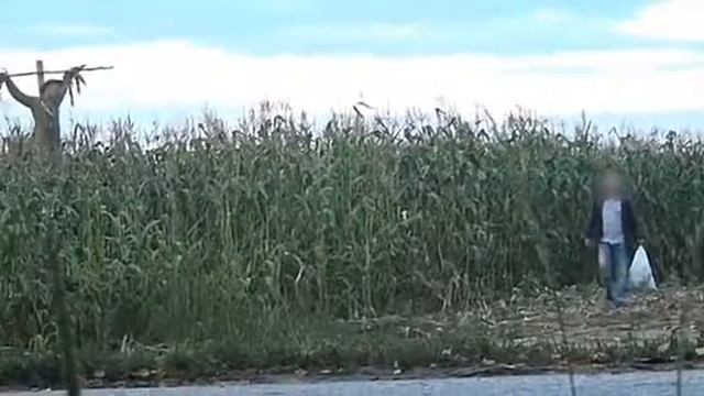 Досмотрите до конца смешно до слез 😆😆😆