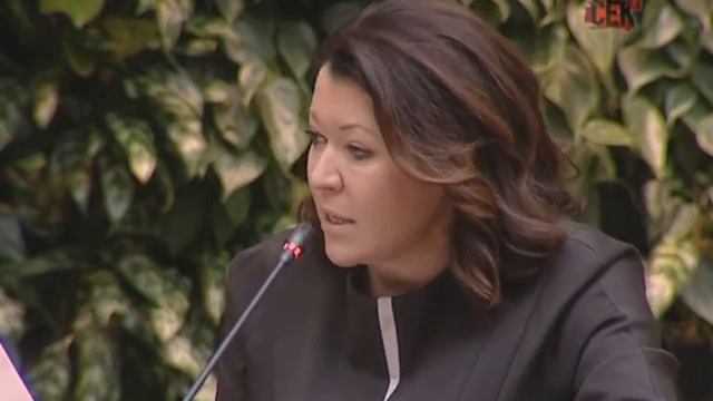 Аудитория: «Проблемы поддержки и перспективы развития молодого отечественного кинематографа»
