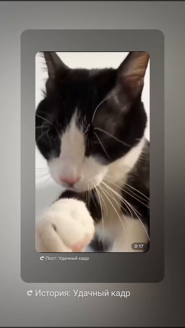 1000004392.mp4