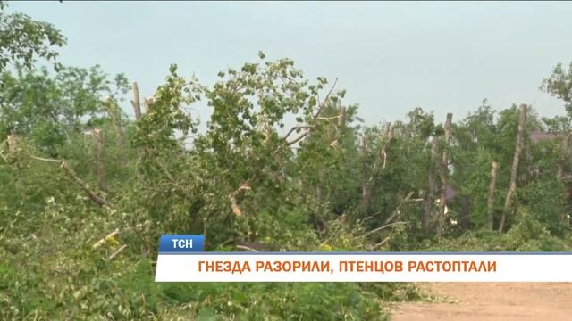 Телевизионная служба новостей (16 июня)