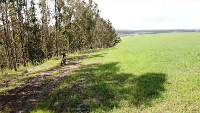 CROSS TRIATLON MERRELL 2017