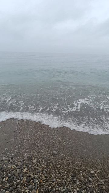 27.04.2025 Лазаревское