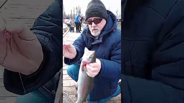 19.03.24, РП, форель на "таблетку"