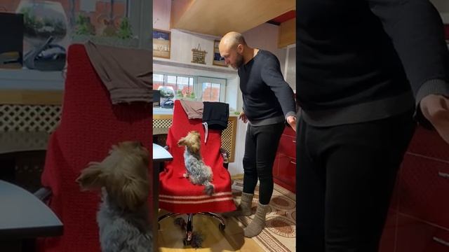 Пёс Ричард уволен с поста директора.