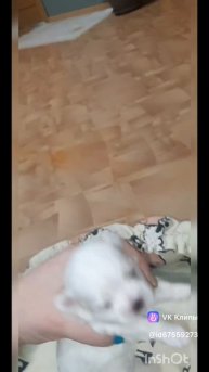 🍬 Девочки-конфеточки.🍬Такие сладенькие..Посмотрите на них🥰🥰😘...