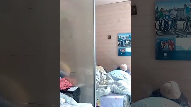 ЛЕЧИМ МЕДВЕЖАТ ДИАНА ЛЕЧИТ
