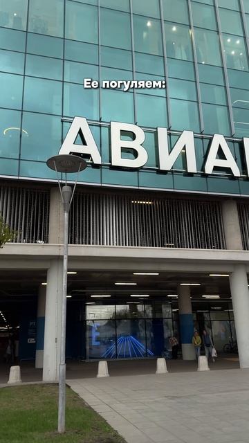 Как вам такая прогулка?