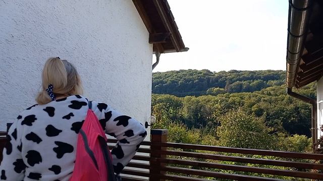 Деревня в Германии. Жизнь в Германии. Ферма. Олени.